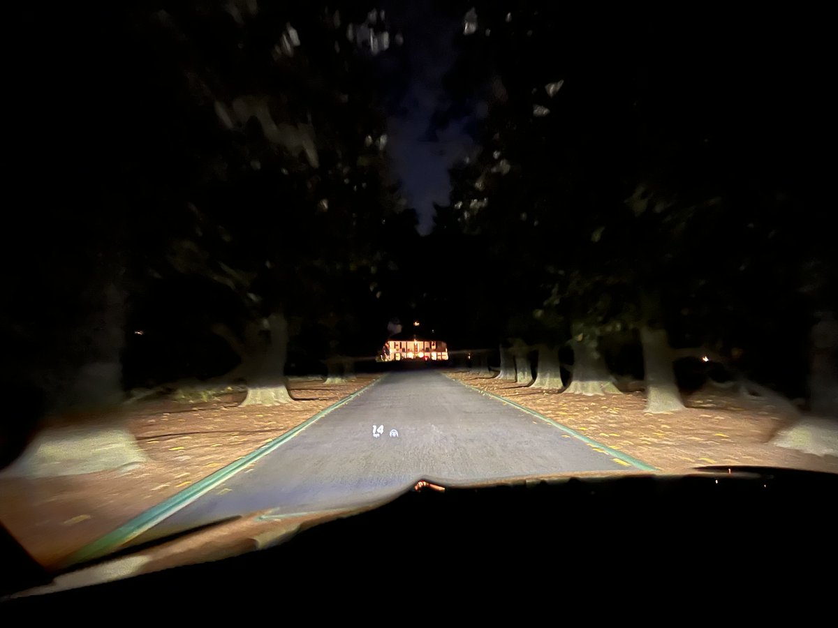 Carminita Immelman tweet media