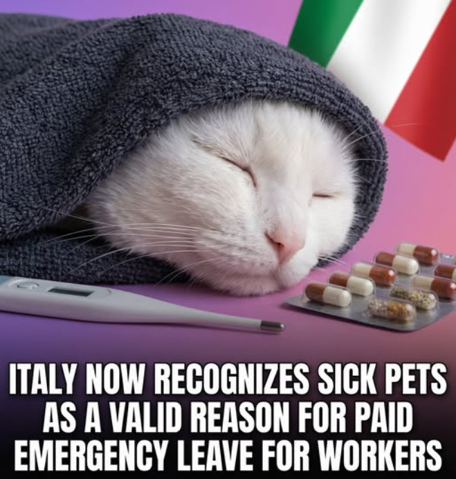 Soul Scientist tweet media