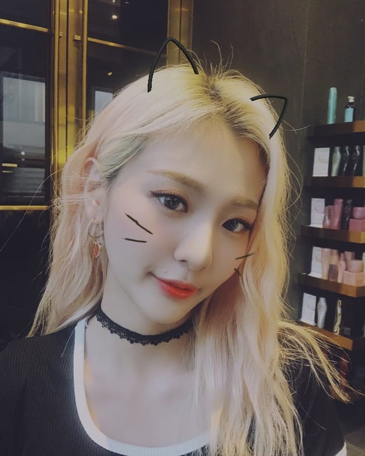 𝐜𝕝ö𝐯er'𝐬 ➶♡➴ 𝑏oo𝐤 ! tweet media