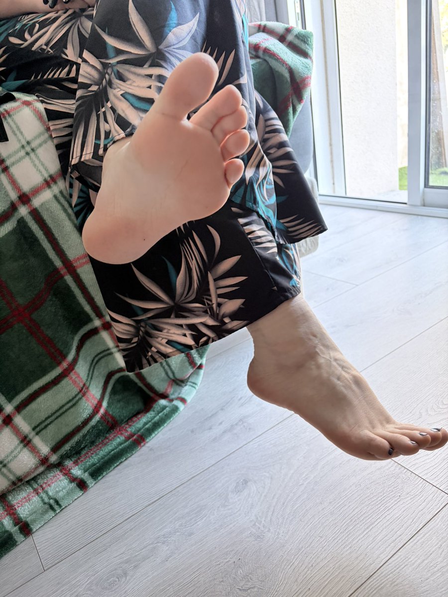 Allez, viens donc coller ta truffe entre mes orteils, comme le clebs que tu es. Ne fais pas semblant de résister : c’est ta nature, tu n’y peux rien.