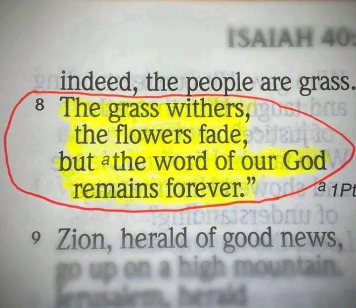 MaryfromMarin's tweet image. .#ccot #tcot #word #God #Bible #Isaiah