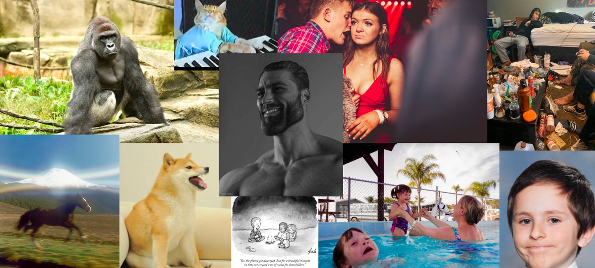 Collectr tweet media