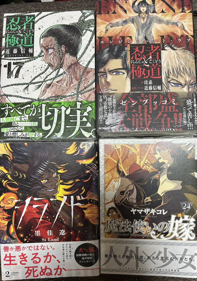 Noel 【ノエル】 tweet media