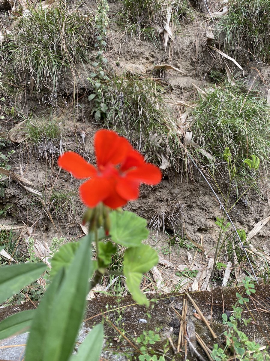 LUCKY🇮🇳 tweet media