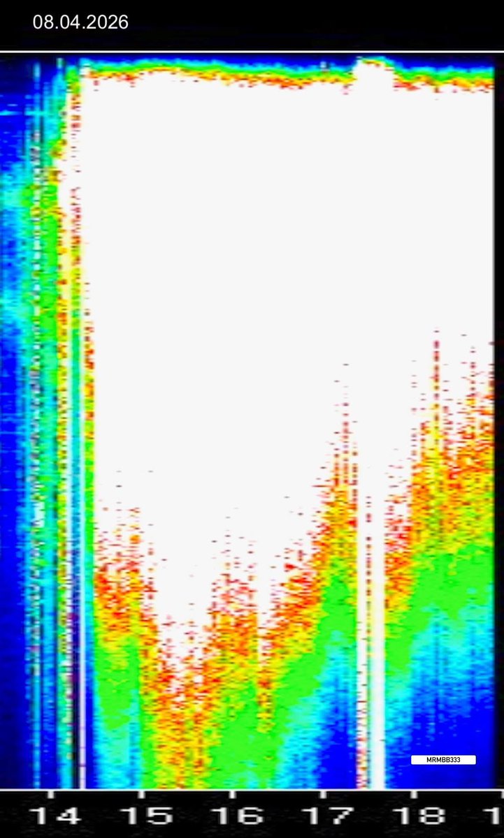 Michael Bradbury tweet media