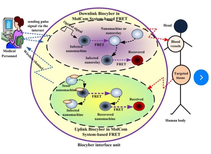 Makeda Piriano tweet media