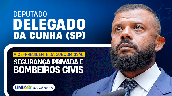 A Subcomissão sobre segurança privada e bombeiros civis ganha reforço com o deputado <a href="/DacunhaDelegado/">Delegado da Cunha</a> (SP) na vice-presidência.

Ligada à <a href="/CSPCCO/">CSPCCO - CD</a> , o colegiado vai atuar no combate à clandestinidade, na fiscalização e na organização do setor. 🚨