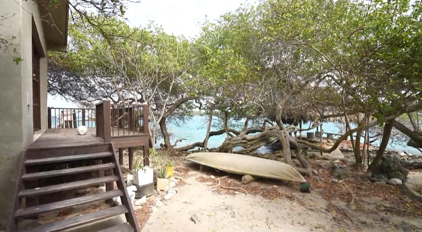 Revista RAYA tweet media