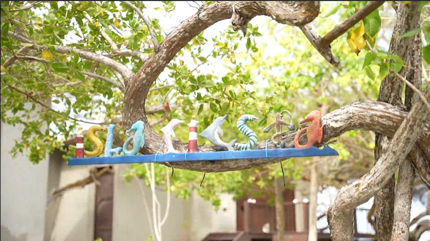 Revista RAYA tweet media