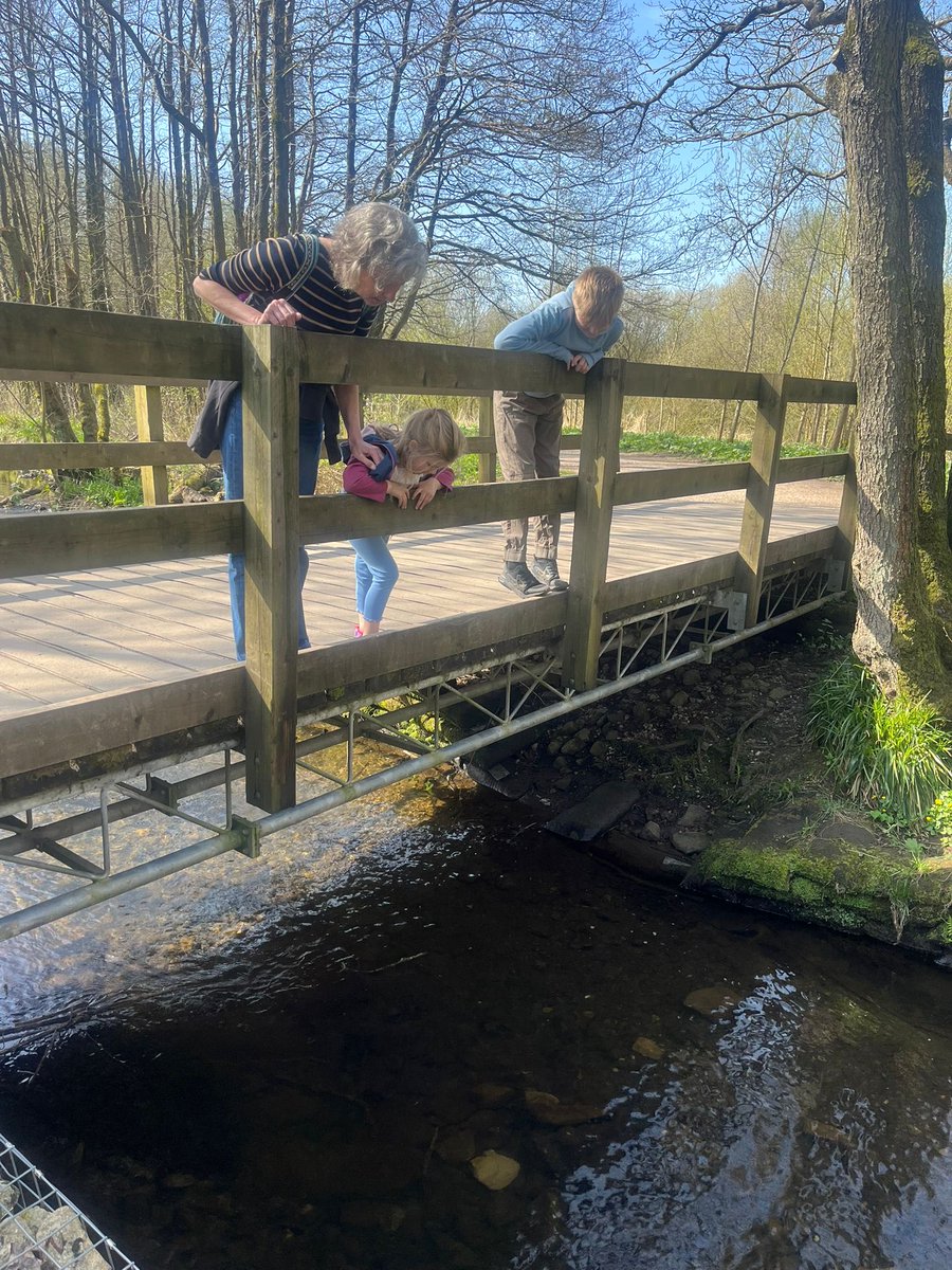 Tanyawarren's tweet image. Fun in the sunshine with my favourite people 🥰

#poohsticks #grandchildren #sunshine