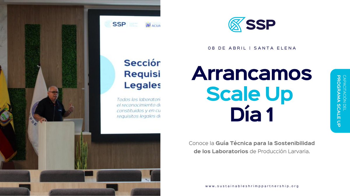 SustainableShrimp tweet media