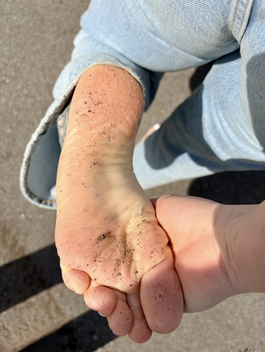 Jane Gray tweet media