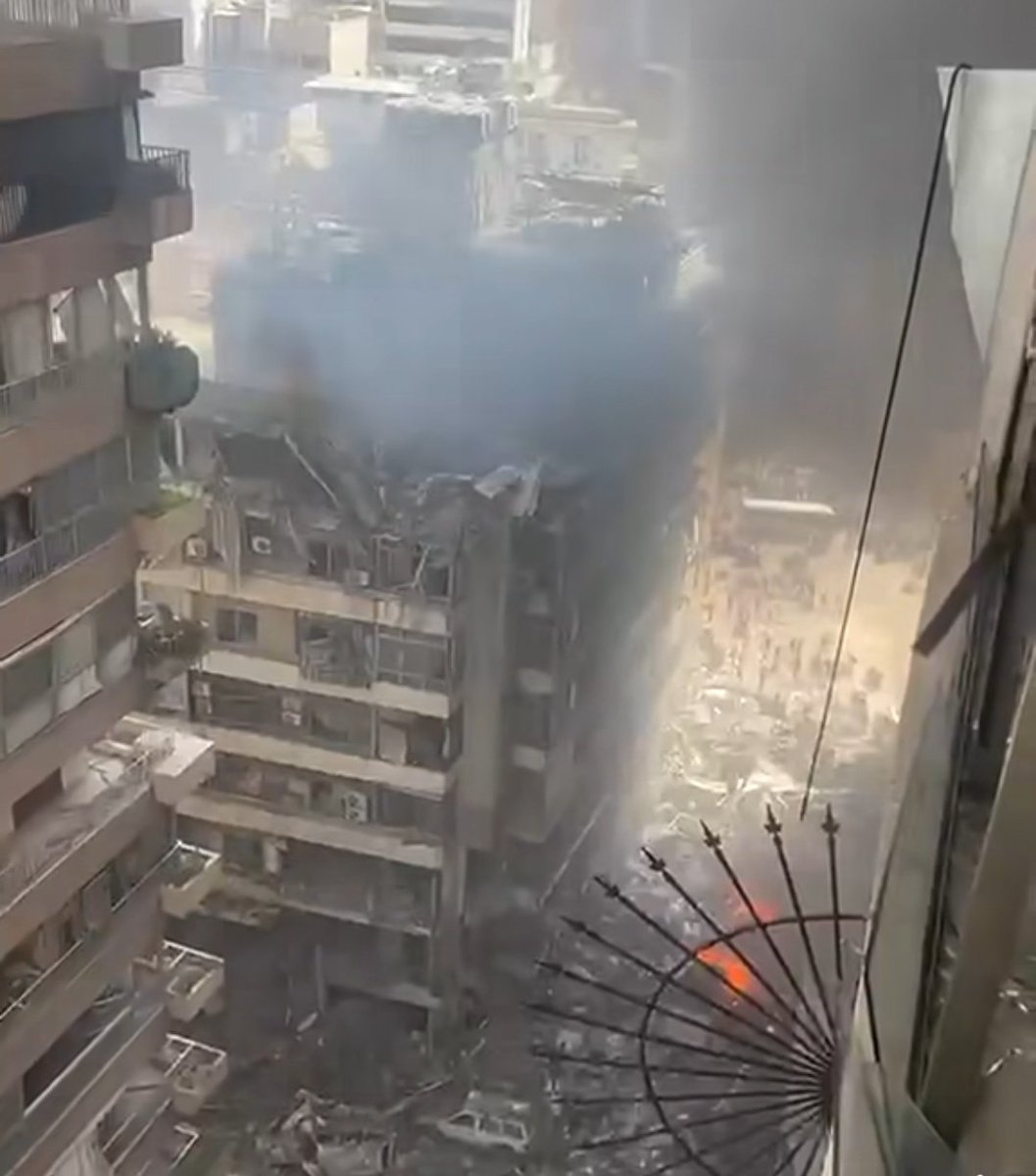 سید علیރ tweet media