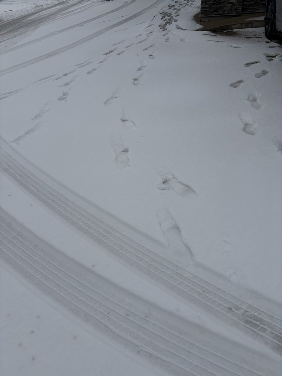 加拿大送外卖中年大叔日记-移民火星中 tweet media