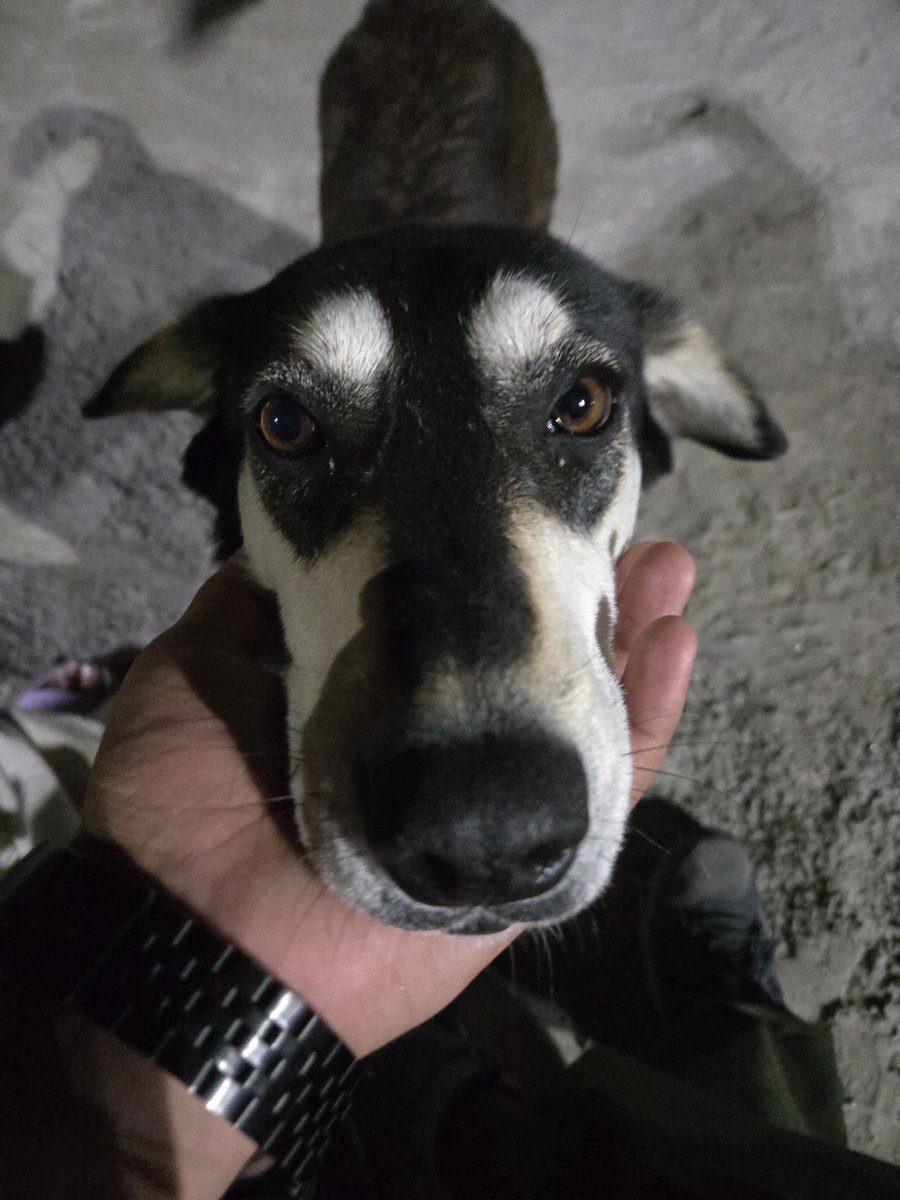 Bruħħħ tweet media