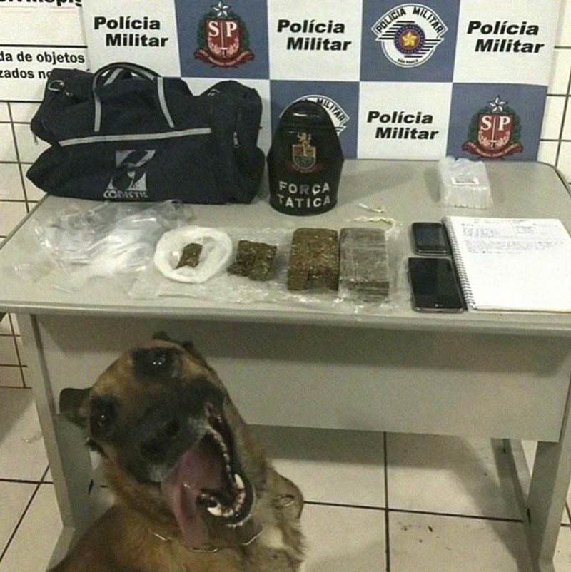 OddStuffMagazine tweet media