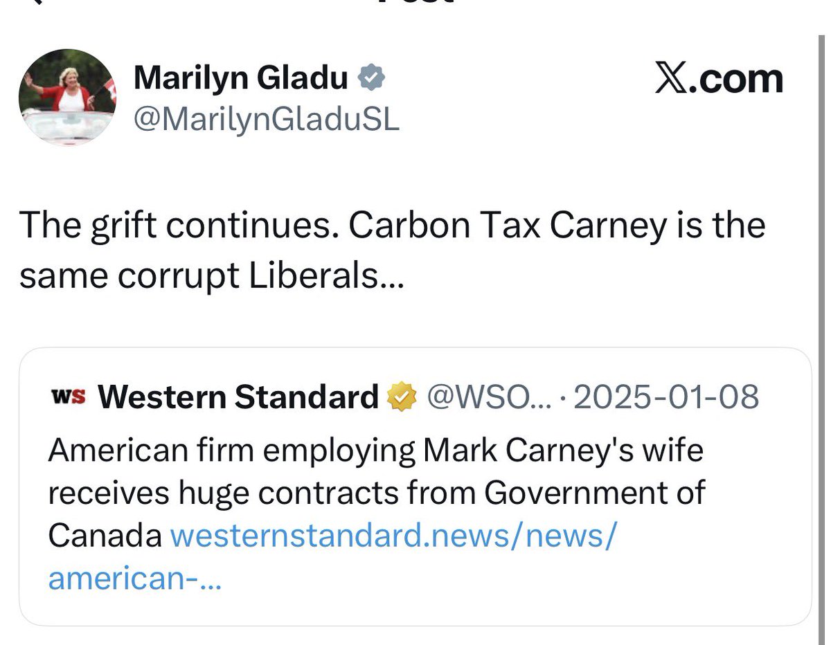 Andrew Lawton tweet media