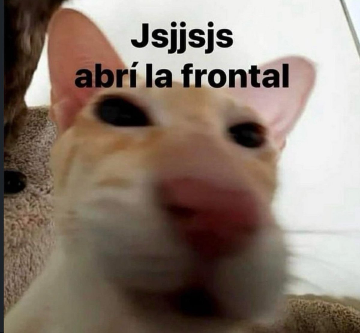 piña sin pizza tweet media