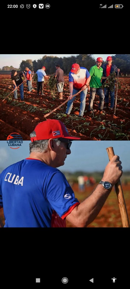 guardiandelatrocha tweet media