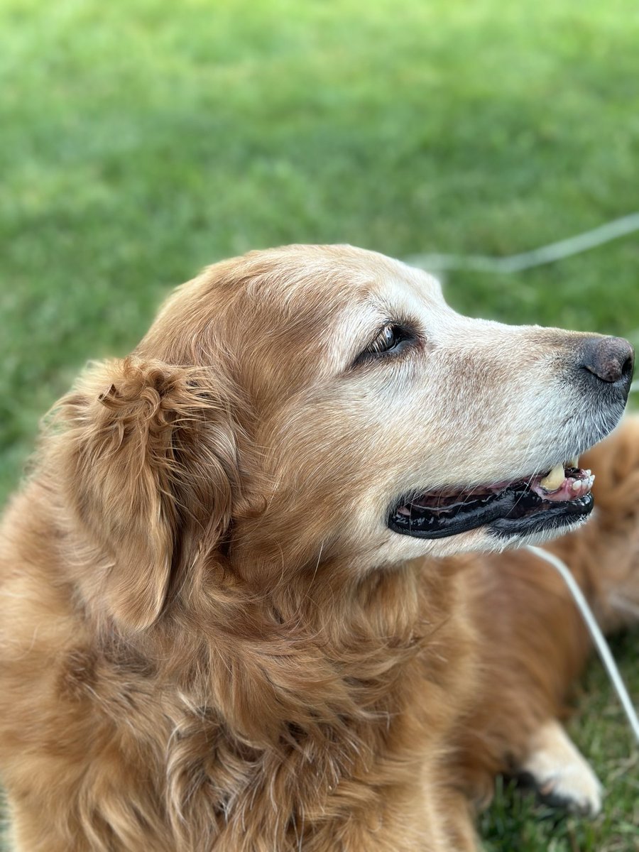 Vacuum Solo tweet media