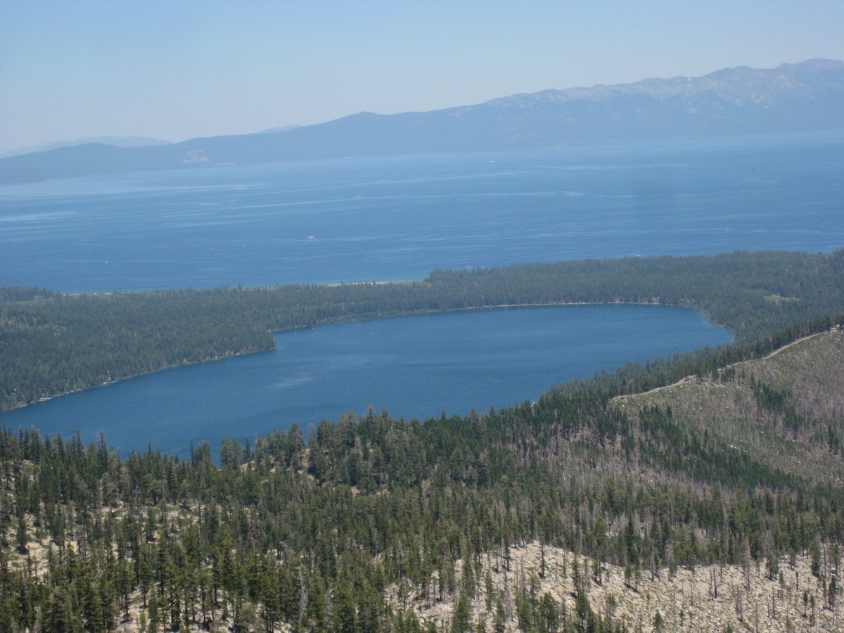 VNext Jim tweet media