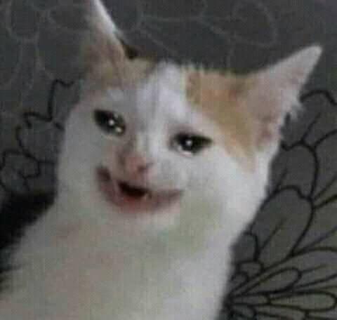 Overprotected♊🇧🇷🏳️‍🌈🎮🍺😉#JusticeForBritney tweet media