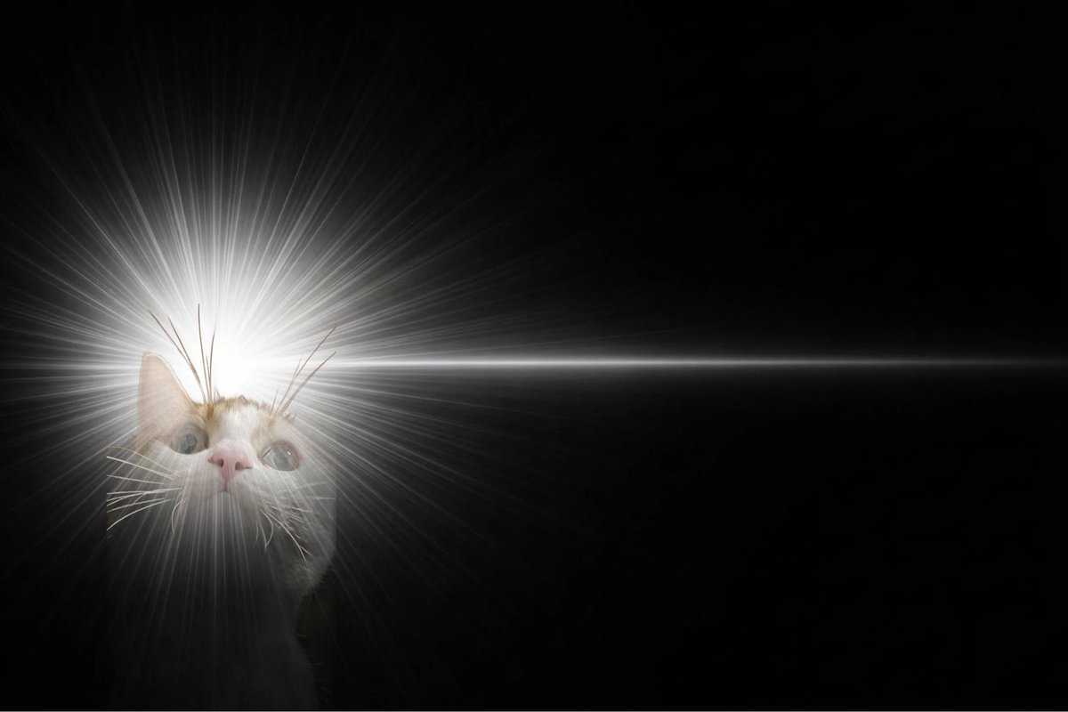 おじゅん tweet media