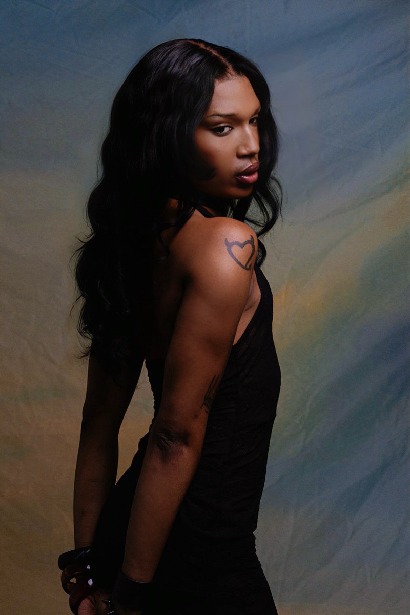 ── .✦ tweet media