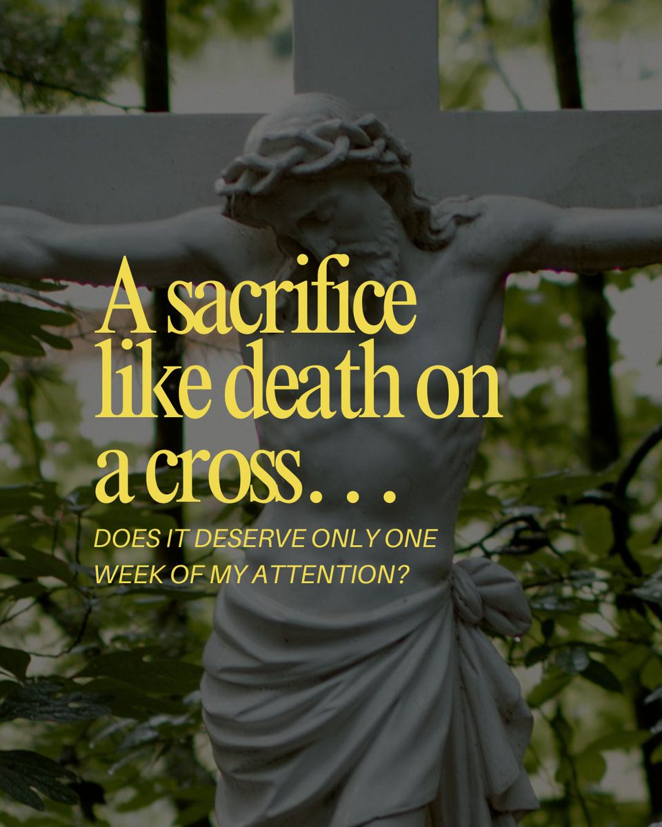 Life Teen tweet media