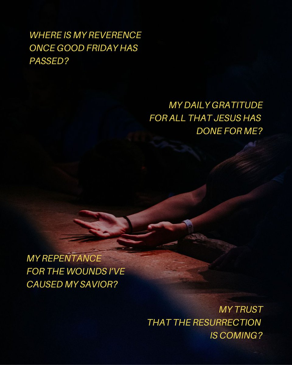 Life Teen tweet media