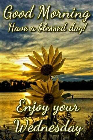 barbiesway's tweet image. May today be a blessing for you, bringing all you need. Joy, fun, calm, patience, healing, love, energy, &amp;amp; hope🙏🌹🫖😀❤️🇺🇸☮️🐾🌻🖊️📚✝️
#Wednesdayvibe #wednesdaymotivation #wednesdaythought 
𝗚𝗼𝗼𝗱 𝗠𝗼𝗿𝗻𝗶𝗻𝗴☕️ 𝐆𝐨𝐨𝐝 𝐀𝐟𝐭𝐞𝐫𝐧𝐨𝐨𝐧🌞 𝗚𝗼𝗼𝗱 𝗡𝗶𝗴𝗵𝘁🌛⭐️