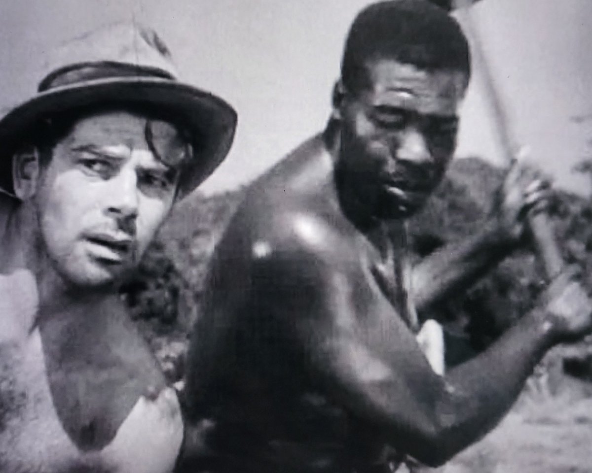 At the Bijou tweet media