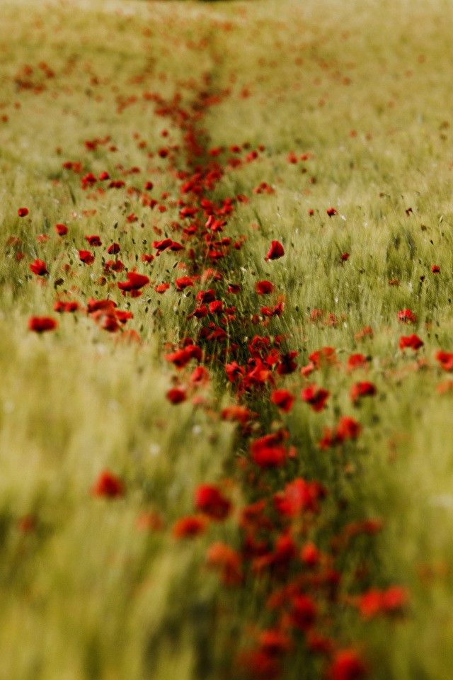 Mar 🌊 tweet media