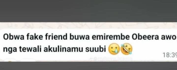 Ms Rashel tweet media