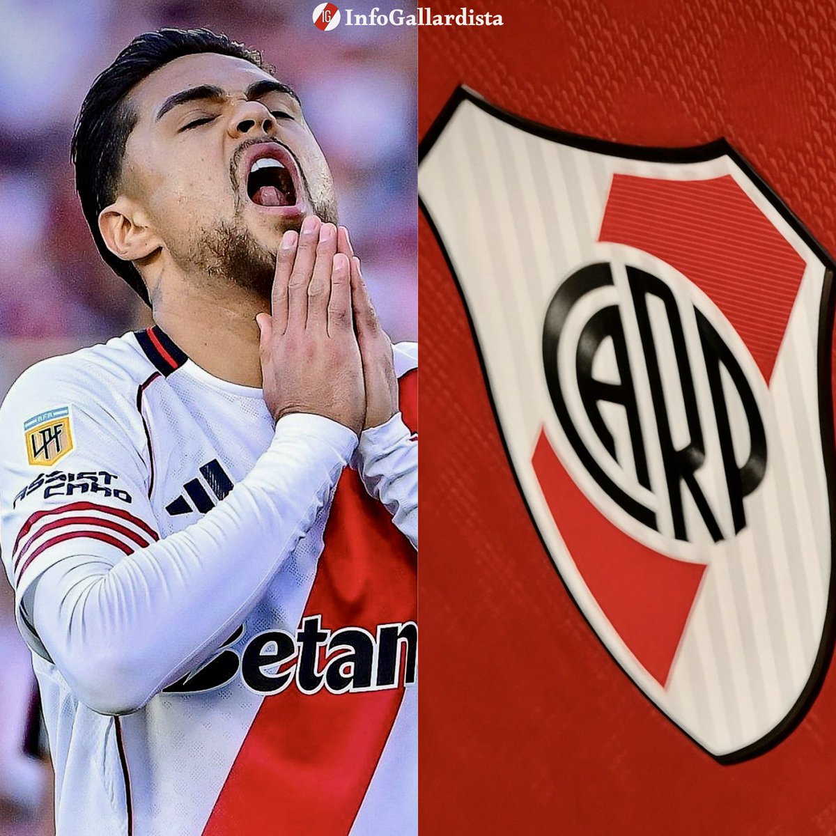 Info Gallardista tweet media