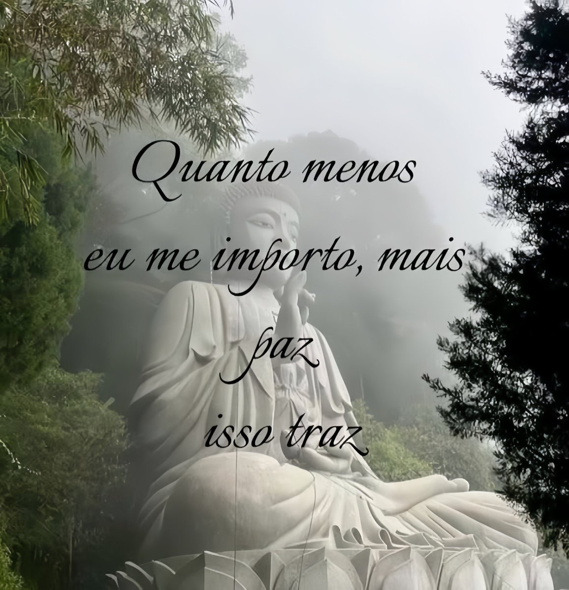 carla tarot 🃏 tweet media