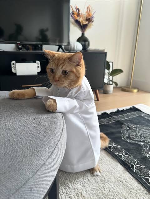 Adil Al-Salafi Al-Hindi tweet media