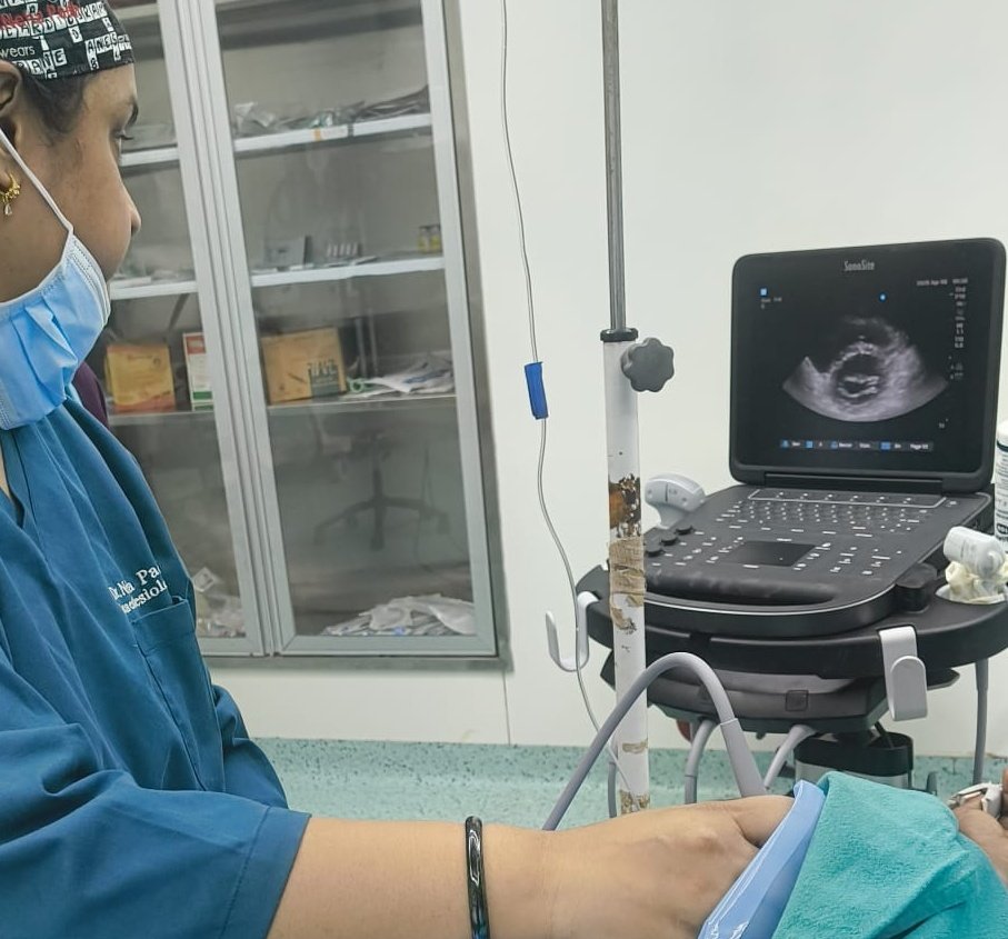 nehapadhi's tweet image. Everyone was so kind yesterday so tried the PSAX view today.
I think I got a decent view of the mitral valve,please share your advice and suggestions,I am very eager to learn and grow from all of you.
Baby steps into POCUS!
#MedTwitter