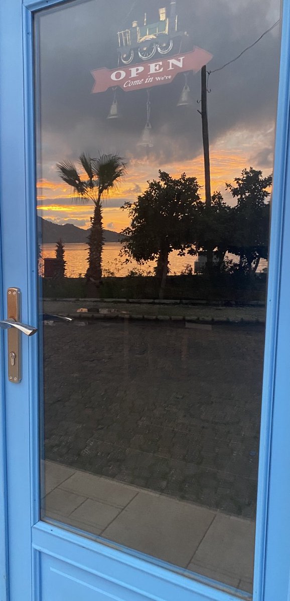 rigel✨ tweet media