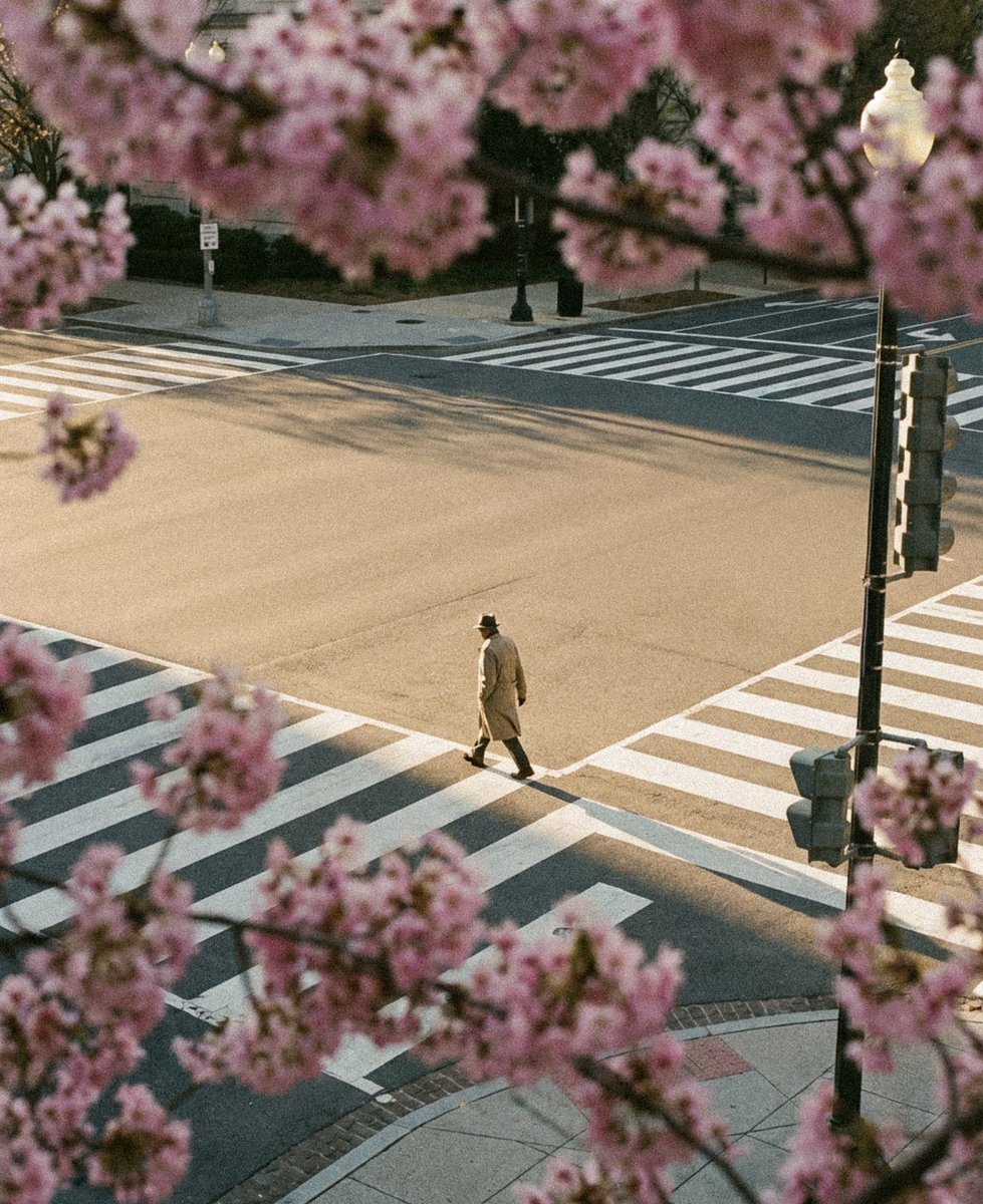 Elise ✨ tweet media