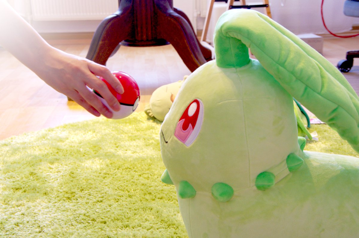 チコリータそらをとぶ tweet media