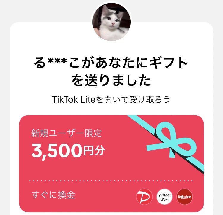 るーたん😿🐾 tweet media