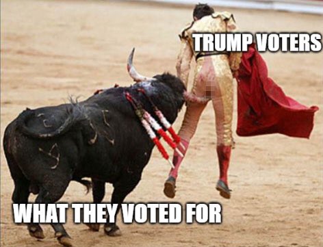 Valerie Vaughan 🏔 tweet media