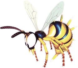 noinimble tweet media