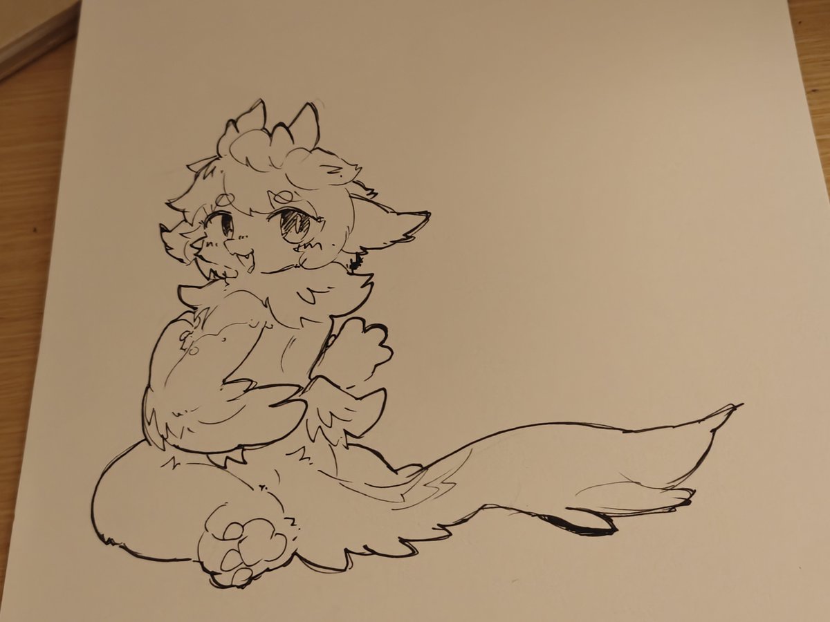 Lumio🐾露喵🐾ルミォ tweet media