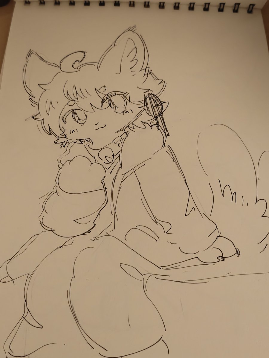 Lumio🐾露喵🐾ルミォ tweet media