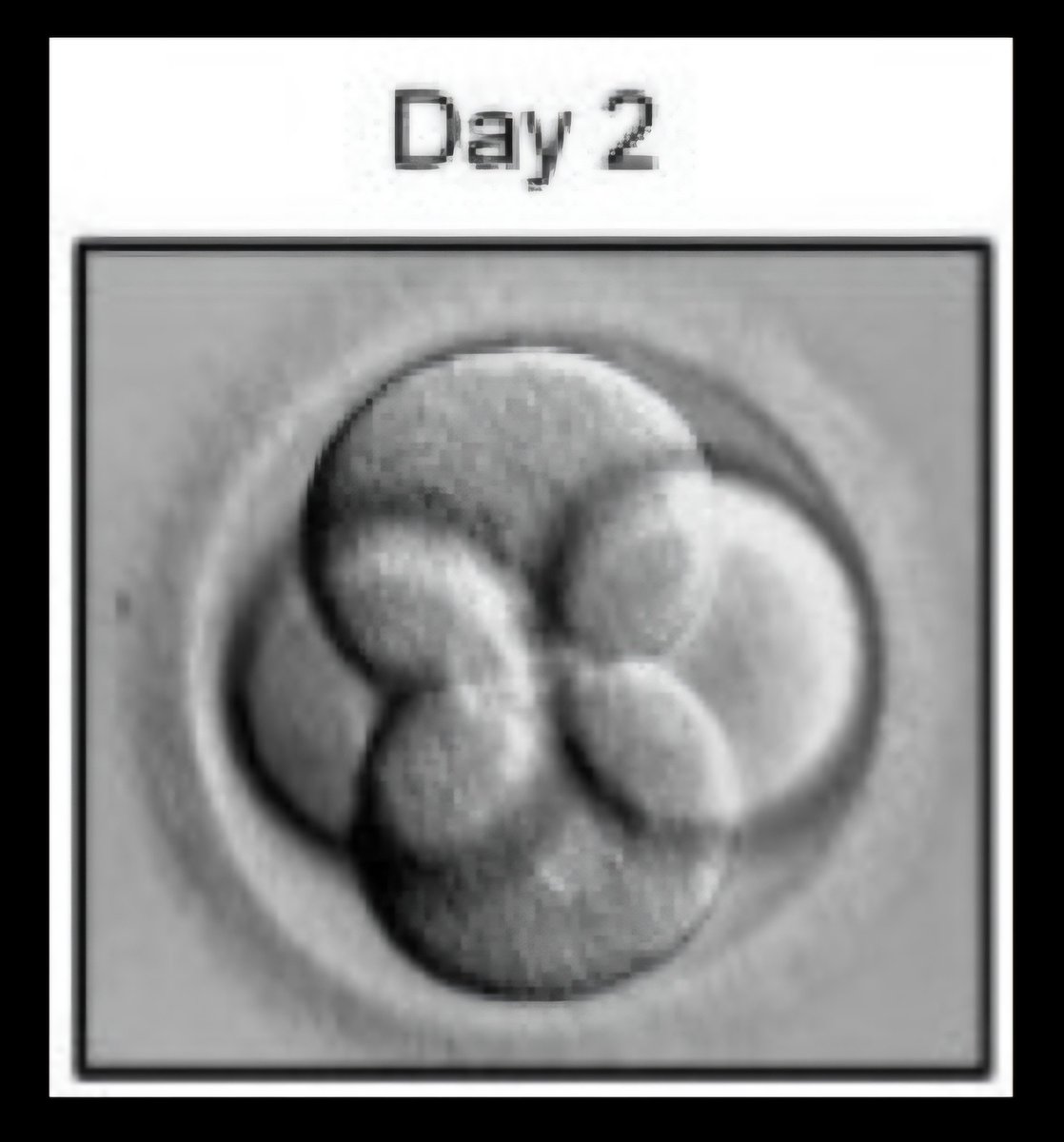 The first number is 2, then 1, etc..
<a href="/Gnosisinformant/">Gnostic Informant | Neal Sendlak</a> 

#KaThaRa #MCEO