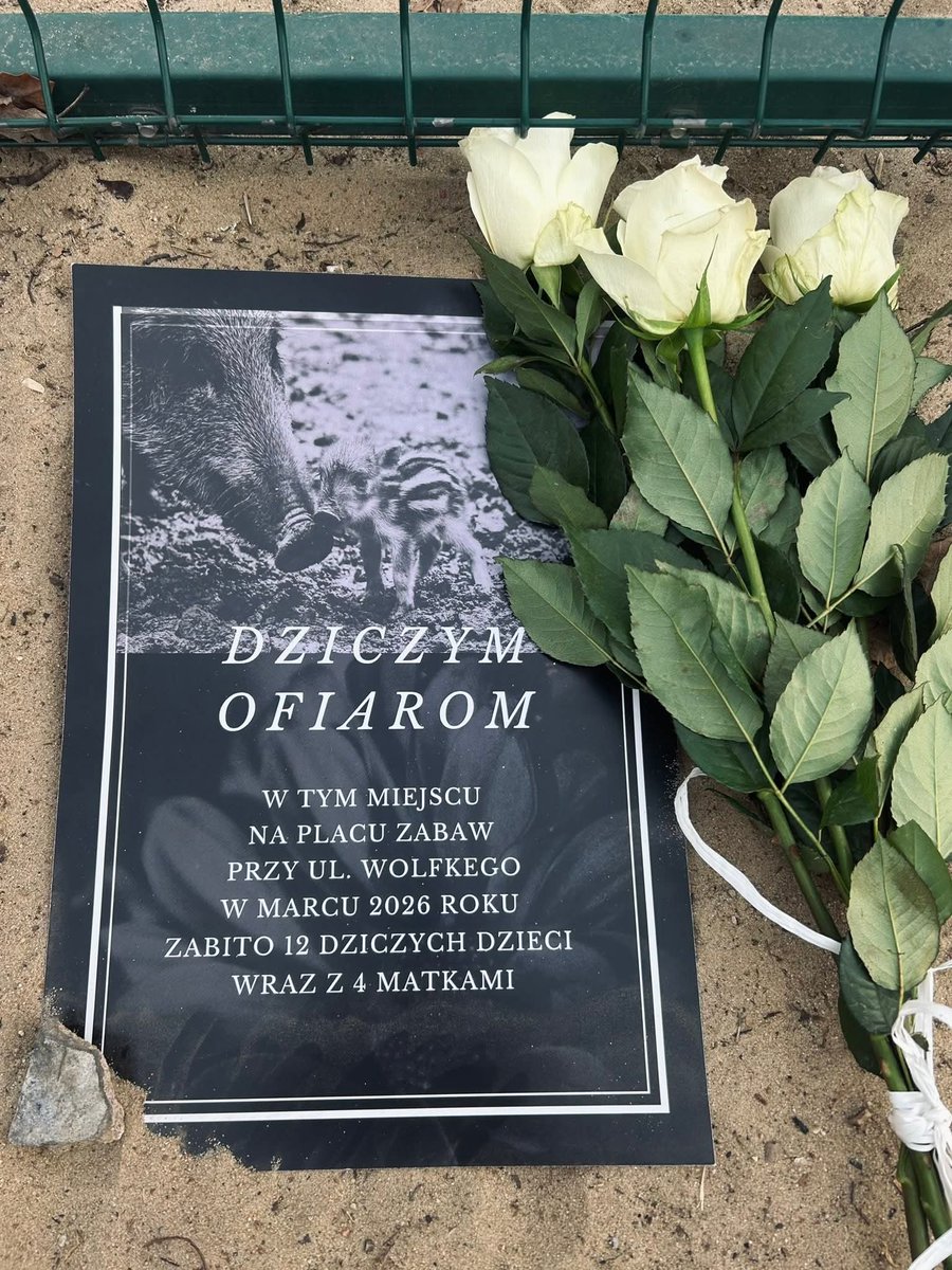 Kaja Godek 🇵🇱 tweet media