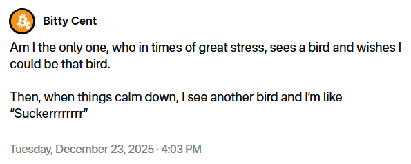 Bitty Cent tweet media