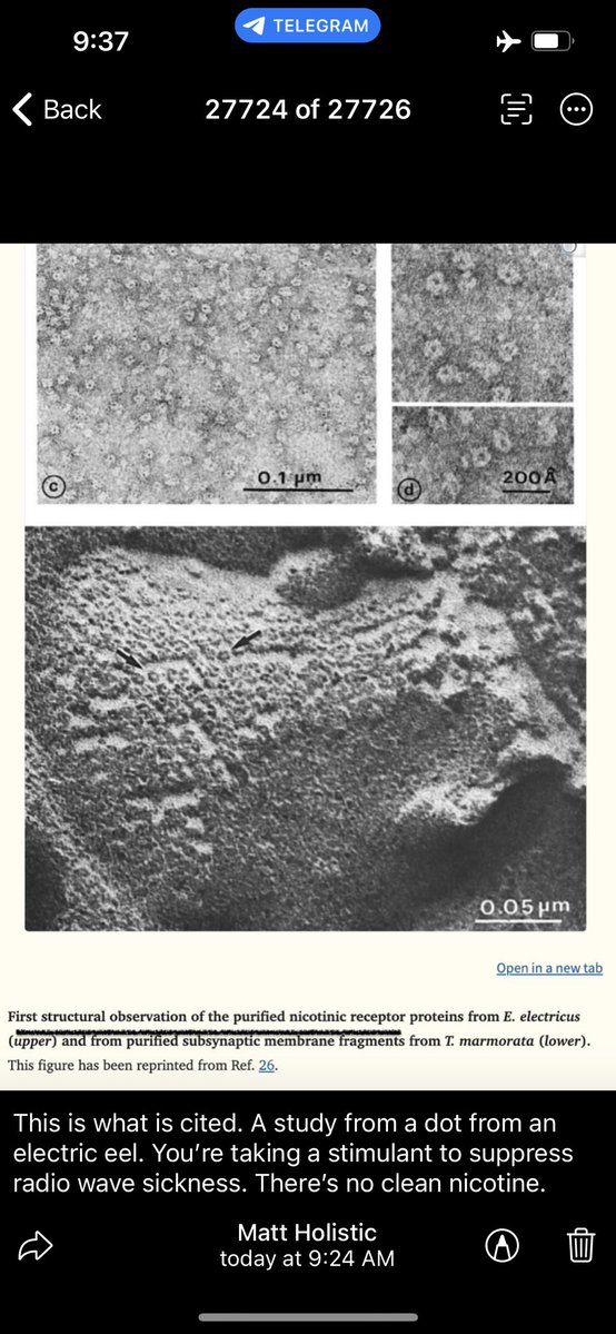 Matt From Cultivate Elevate tweet media